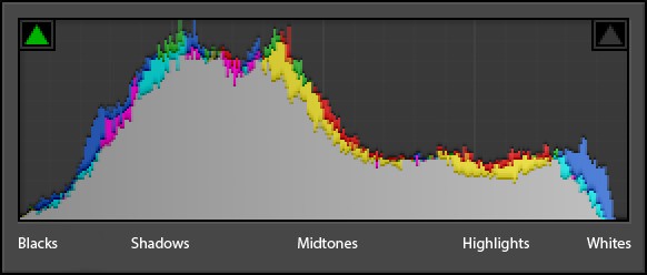 Graphic of Histogram
