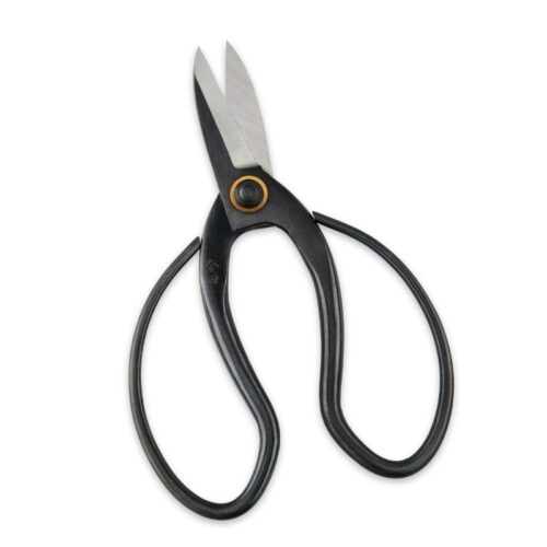 Bis Size Scissors Image