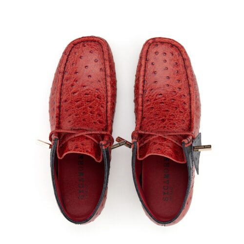 Red shoes footwear photography on a white background