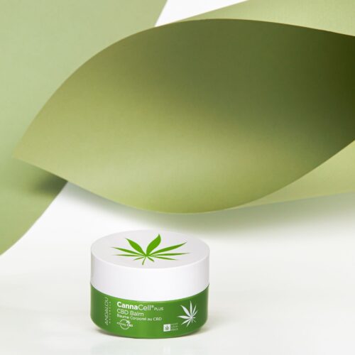 Beauty balm product shot on a green paper showing texture of the product by Isa Aydin nj ny la