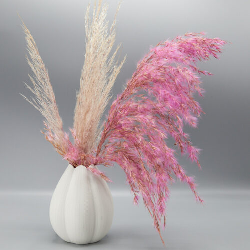 Props photoshoot on a grey background by Isa Aydin nj ny la